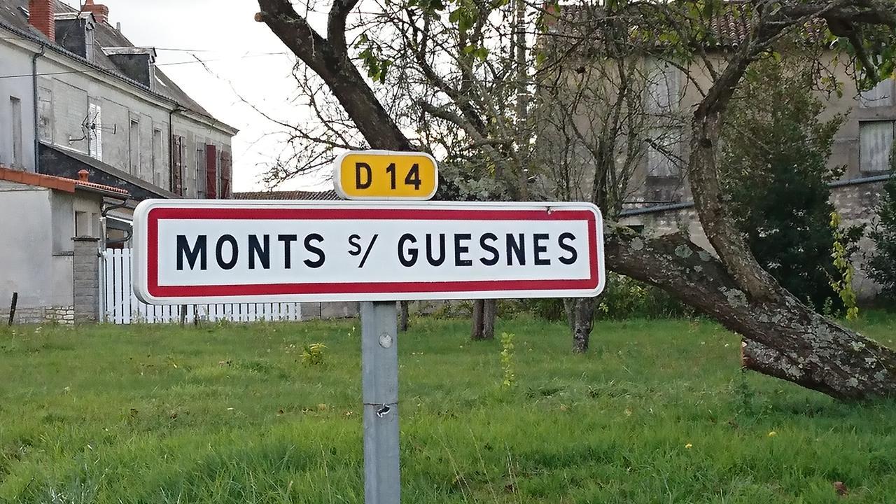 L'Olivier Villa Monts-sur-Guesnes Buitenkant foto