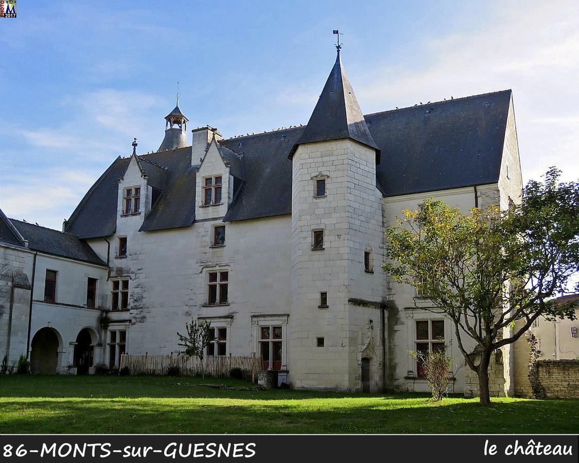 L'Olivier Villa Monts-sur-Guesnes Buitenkant foto