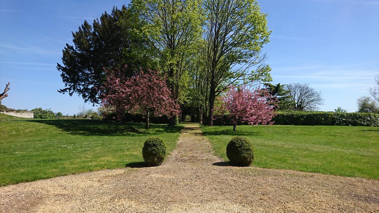 L'Olivier Villa Monts-sur-Guesnes Buitenkant foto